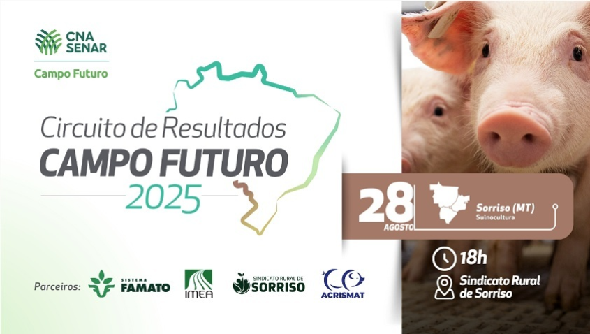 Campo Futuro Suinocultura Sorriso