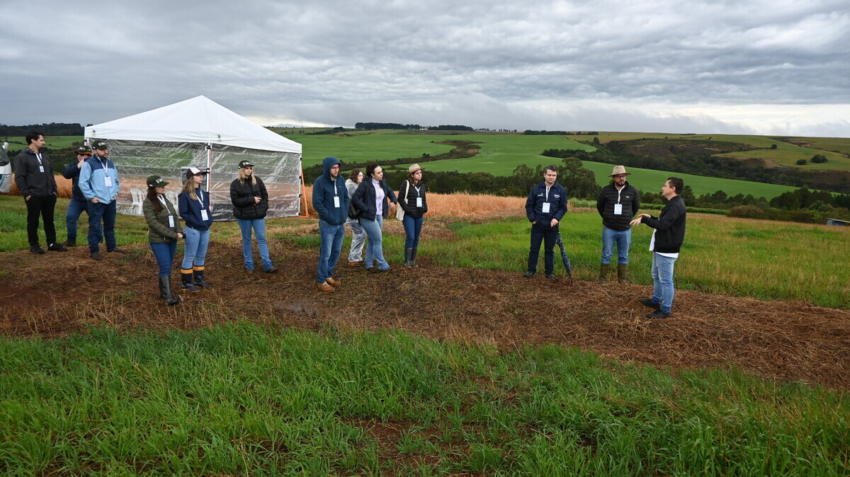 Dia de Campo Solos Ponta Grossa