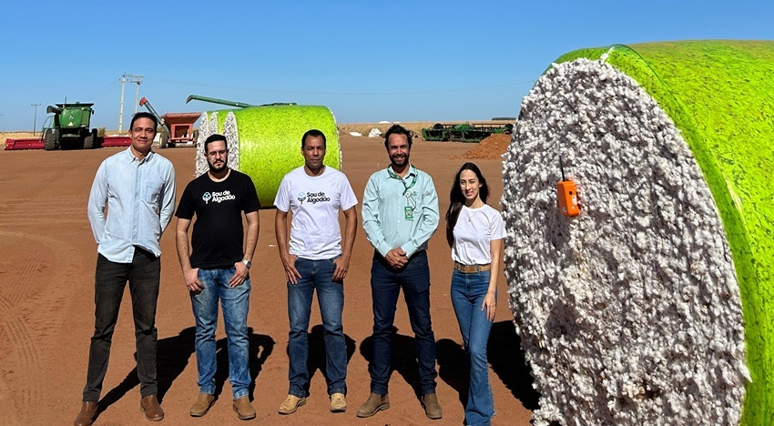 Algodao teste startup4