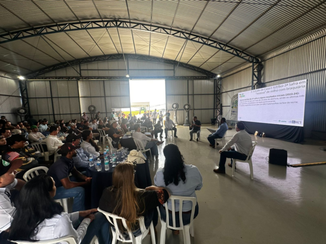 Imagem do Whats App de 2025 09 10 as 10 13 16 4931bc1b