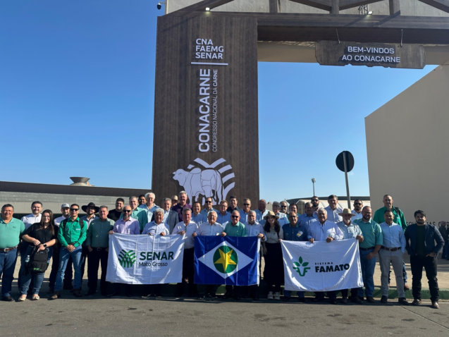 Whats App Image 2025 09 18 at 20 16 13