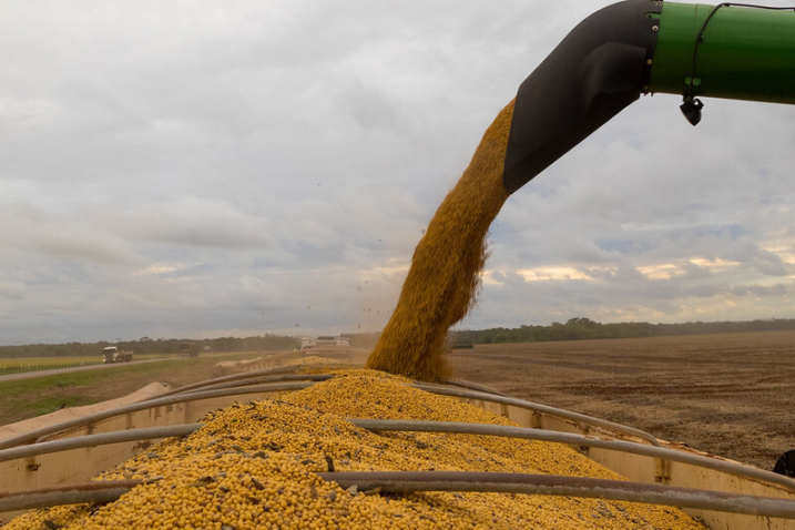 54661991350 6765beedec c