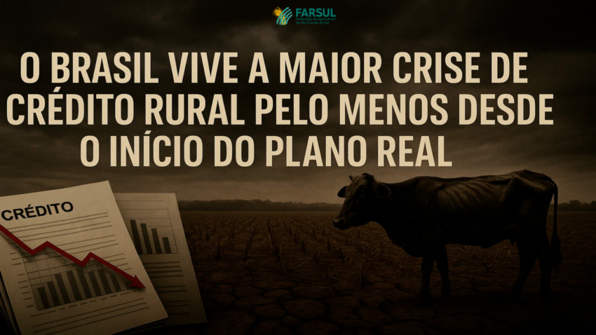 CRISE Credito Rural 2025 1