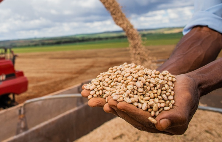 50898237852 895547bca6 k