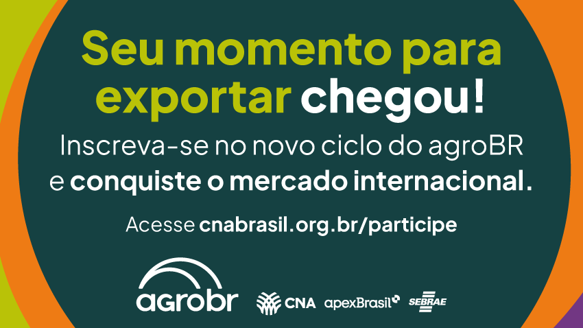 Site 0905 ebook 08 1 1