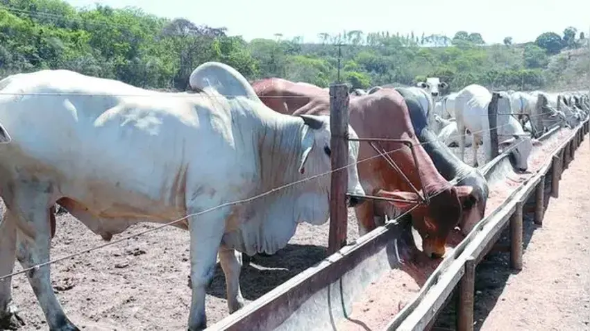 Boitel fortalece a economia circular na Cooperativ 00864864 b2535290024db922c4984cd1e3da475e 1