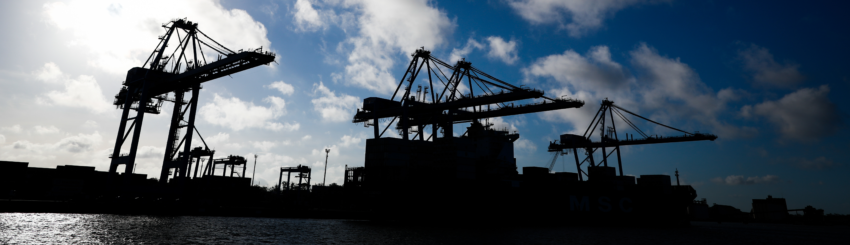 Nucleo de inteligencia de mercado