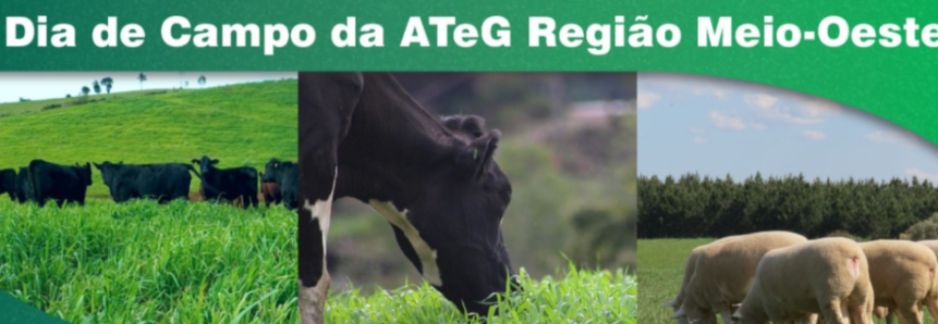 Nesta sexta-feira: dia de Campo Regional do Programa ATeG gado de corte, leite e ovinos reúne produtores em Campos Novos