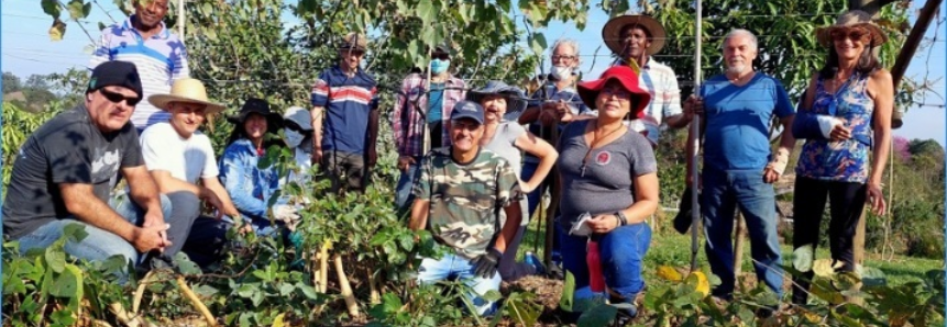 Produtores aprendem poda correta no curso de Fruticultura Básica