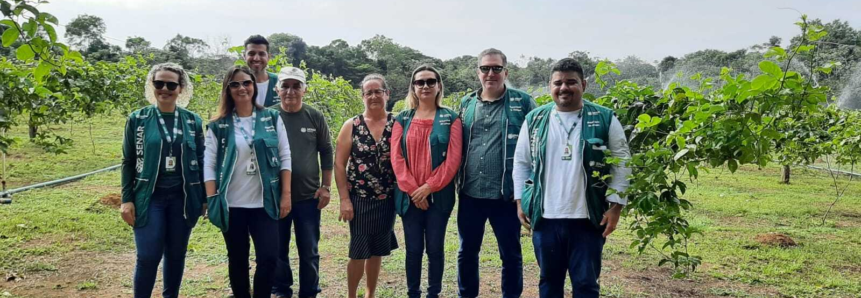 ATeG: produtores assistidos pelo programa em Manacapuru recebem visita técnica do Senar-AR/AM