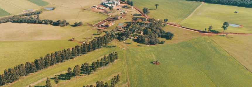 Fazenda em Guarapuava “acolhe” pesquisas científicas