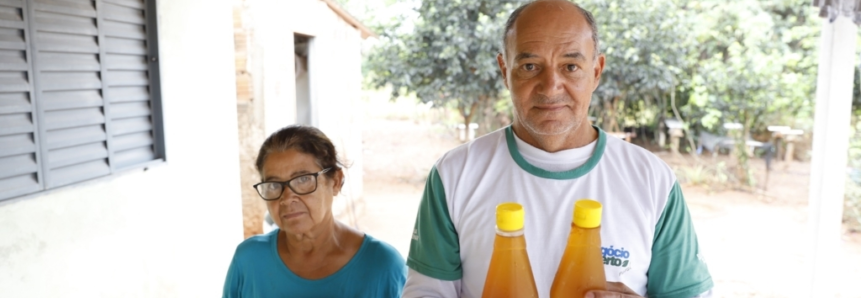 Meliponicultura: Produtores rurais de Brasilândia se profissionalizam por meio de curso e ATeG do Senar/MS