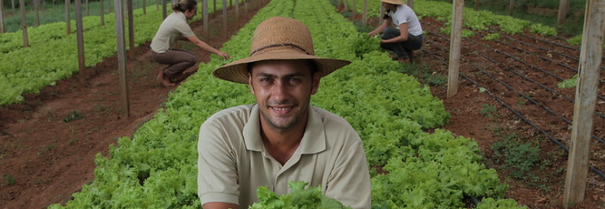 CNA discute uso de selos de identificação e Plano Safra na agricultura familiar