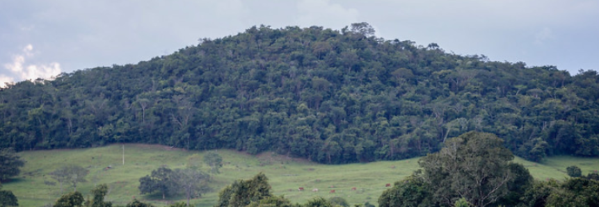 CNA discute uso dos campos de altitude na Mata Atlântica