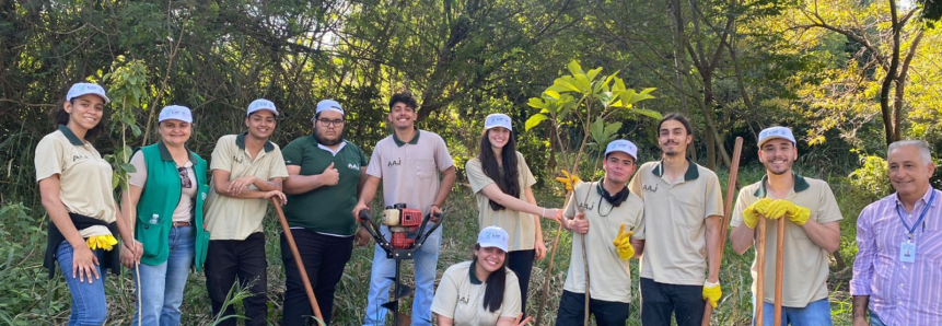 Turma do AAJ promove replantio de mudas nativas em Ibiporã