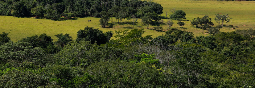 Sistema CNA/Senar, Embrapa e Serviço Florestal Brasileiro assinam acordo de cooperação do Projeto PraValer