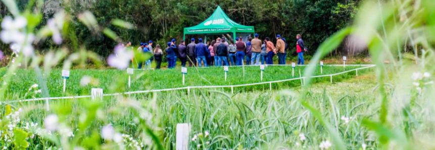 Dia de Campo com foco para pecuária de leite é sucesso em Videira