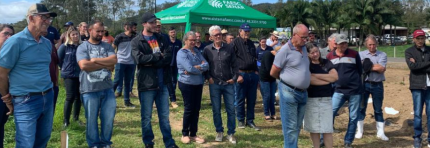 Troca de experiência e conhecimentos sobre pastagens de inverno marcam Dia de Campo em Meleiro