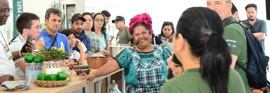 Chefs destacam versatilidade e benefícios da palma na gastronomia