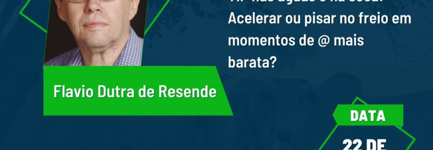 MTBeef 2022 encerra calendário com Dia de Campo