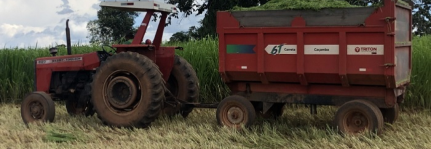 Senar oferece curso sobre produção de silagem de capim