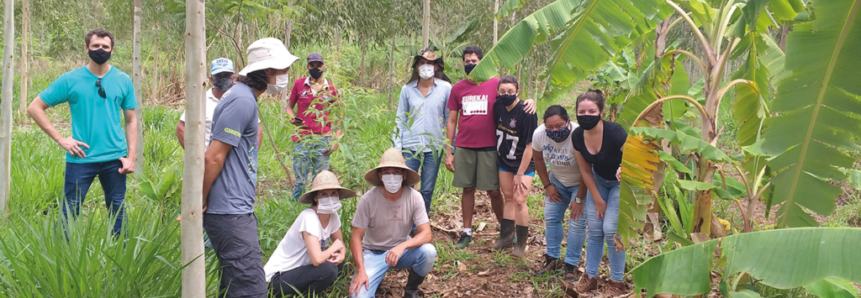 Curso do Senar-SP capacita mão de obra para o cultivo do cacaueiro