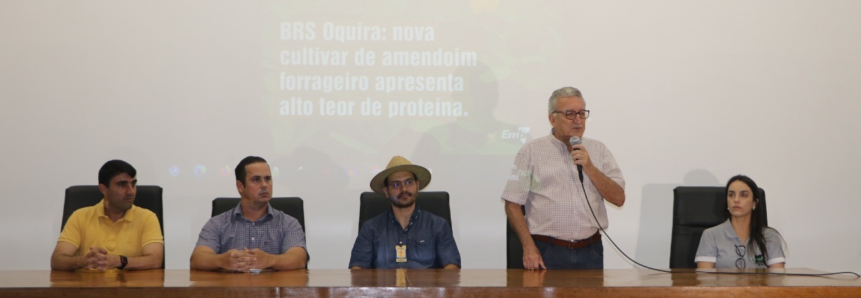 Nova cultivar do amendoim forrageiro é apresentado por pesquisadores do Acre em área experimental