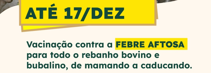 Segunda etapa de vacinação contra a febre aftosa em MT é prorrogada