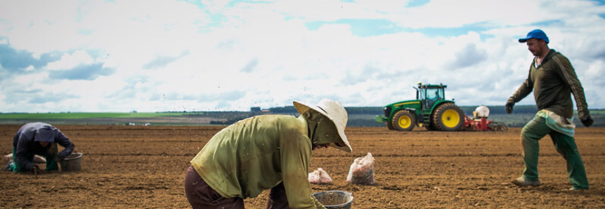 CNA orienta produtores que desejam acessar o Programa Terra Brasil