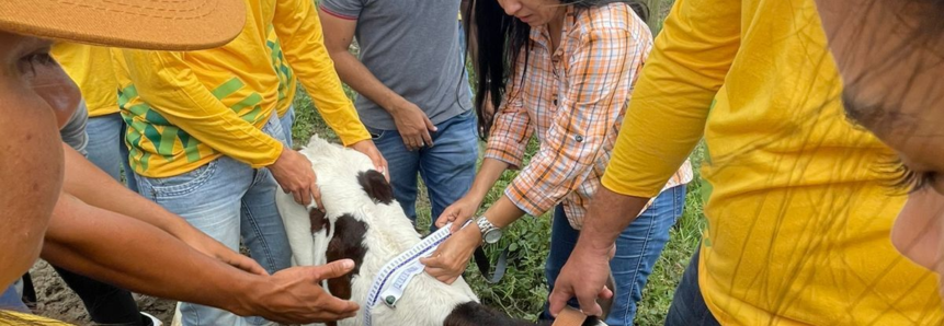 Senar Sergipe abre inscrições para cursos profissionalizantes gratuitos no setor agropecuário