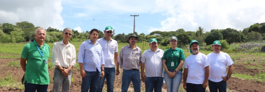 Senar participa de Dia de Campo para implantação de projeto de Cajucultura