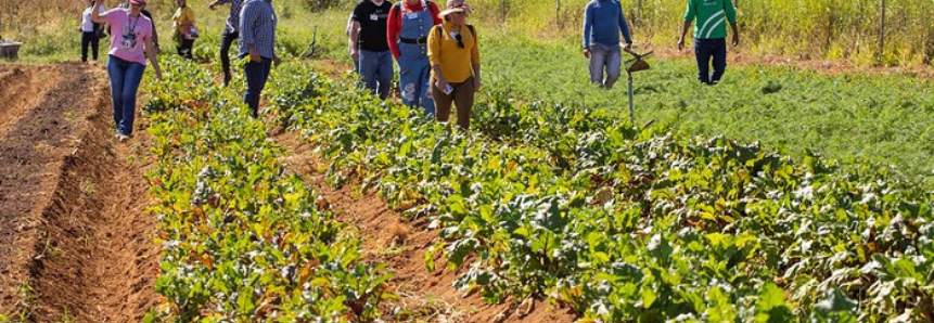 Dia de campo une produtores e estudantes de gastronomia