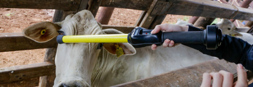 Olho no futuro: Senar Minas treina instrutores para cursos de zootecnia de precisão