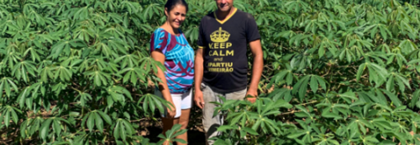 Produtores assistidos pelo Senar Goiás aumentam produção de mandioca focada na venda para a indústria de cerveja