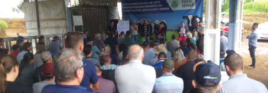 ATeG Pecuária de Leite: produtores de leite aperfeiçoam conhecimento durante Dia de Campo no Oeste