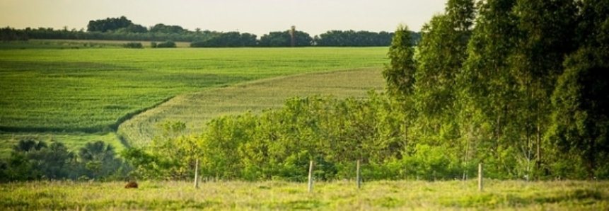 Agro em questão debate financiamento para pagamento por serviços ambientais