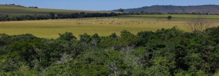 Produtor rural beneficia toda a sociedade ao preservar meio ambiente, avaliam especialistas