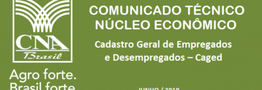 Agropecuária lidera oferta de emprego em junho