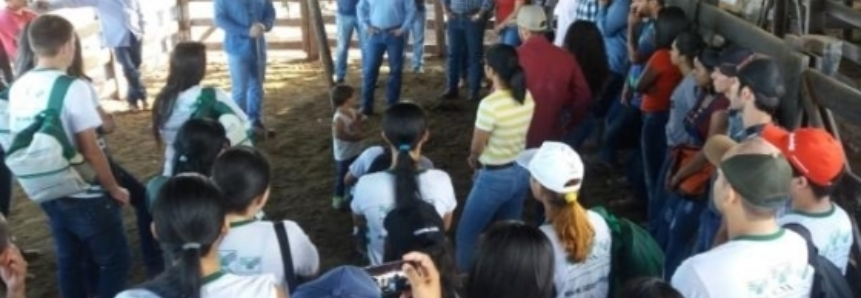 Curso Técnico em Agronegócio do Senar prepara profissionais para o mercado de trabalho