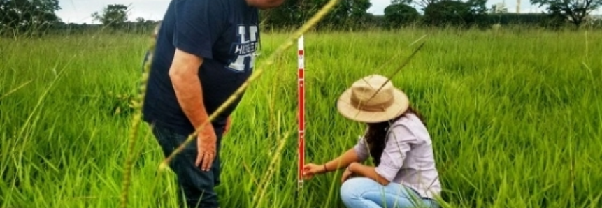 Em seis anos, assistência técnica do Senar/MS inovou mais de 57 mil hectares no estado