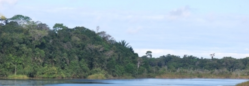 CNA e Embrapa promovem palestra sobre conservação de recursos naturais no 8º Fórum Mundial