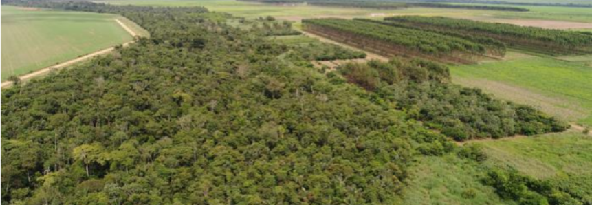 Abertas as inscrições para curso sobre adequação ambiental de propriedade rural