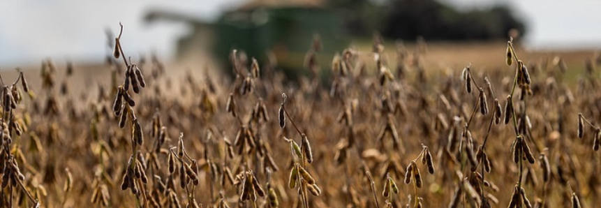 CNA pede suplementação de R$ 1,5 bi para o crédito rural