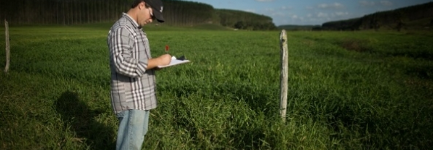 Pesquisa avalia a preservação da vegetação nativa nas fazendas