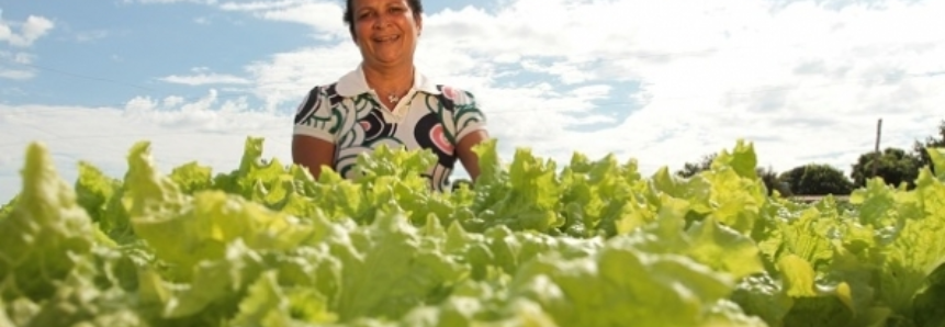 Mulheres ganham espaço no campo e ocupam 30% dos cargos de comando