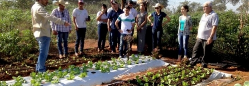 Curso Técnico em Agronegócio do SENAR/MS é destaque na gestão administrativa da agropecuária