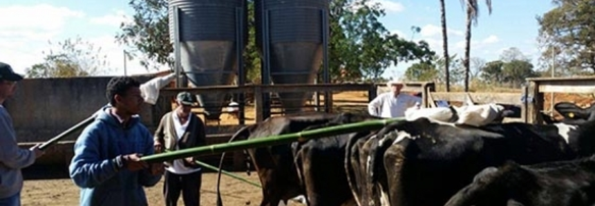 Curso de Manejo e Bem Estar Animal ensina boas práticas de convivência entre produtores e animais