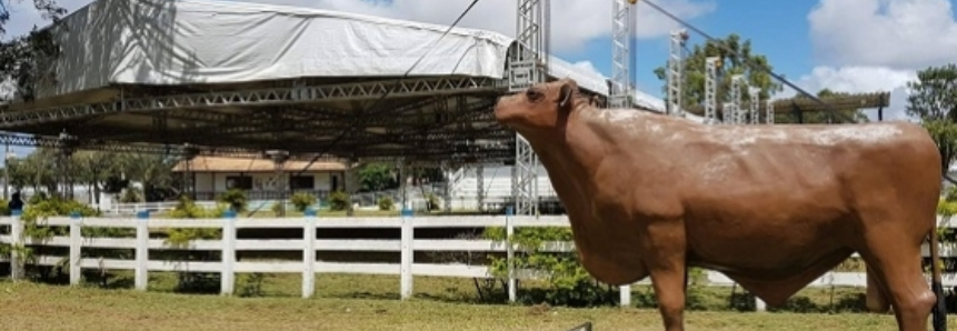 Rio Grande do Norte recebe maior evento de conhecimento e tecnologia voltado para o semiárido