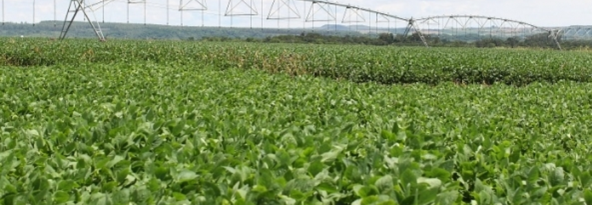 Experiência do Brasil no agronegócio serve de modelo para África