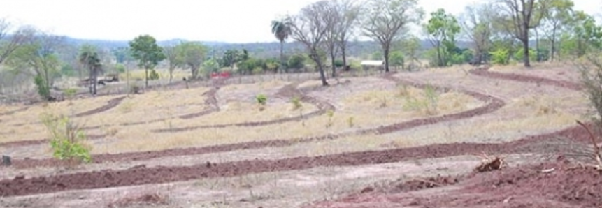 Ações do Projeto ABC Cerrado são destaque em premiação do Sisema